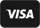 visa card